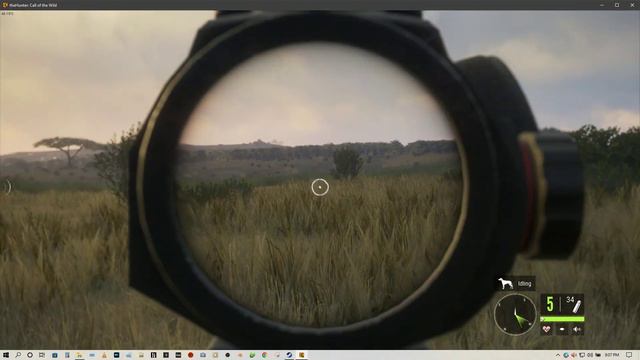 theHunter: Call of the Wild | Sunrise on the Savanna смотреть онлайн