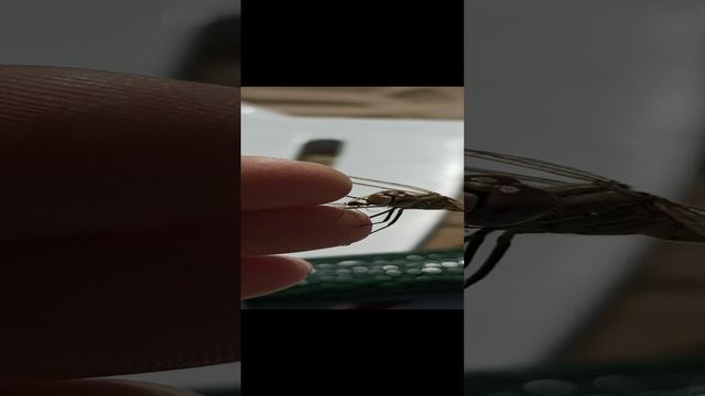 Завтрак стрекозы смотреть онлайн