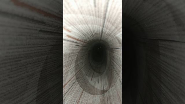 кот в трубе #дымок #кот #труба смотреть онлайн