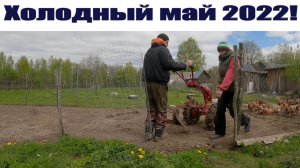 Плантация капусты в 40 метров и дела деревенские в холодный май 2022...!