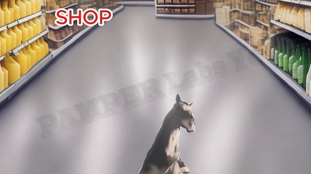 13 Horse "Neigh" Sound Variations in 30 Seconds смотреть онлайн
