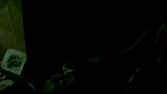 Пионерский лагерь -  двадцать лет спустя.