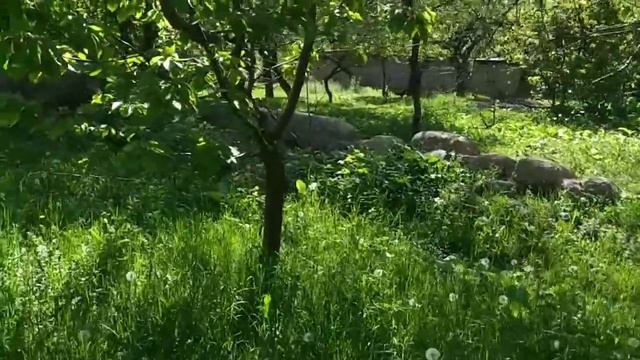 Срочно ҮЙ 23 сотых жери менен сатылат. Баасы 1,7млн адрес: Баткен обл. Кадамжай р. Марказ а. смотреть онлайн