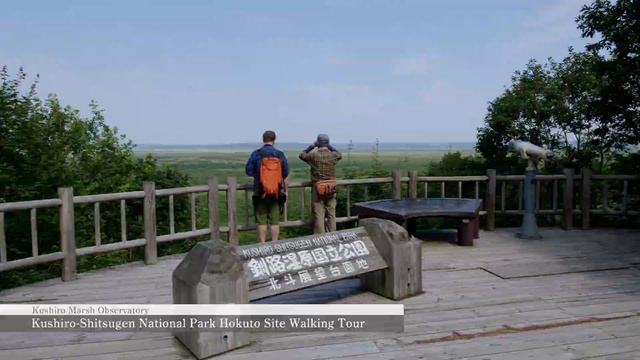 Untouched HOKKAIDO : Kushiro-Shitsugen National Park Hokuto Site Walking Tour【4K】 смотреть онлайн