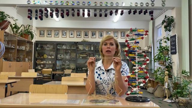 Инфузория в туфельках S01e08 про хромосомы