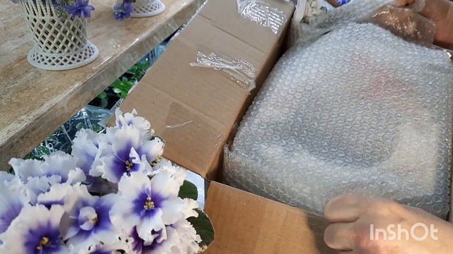 Распаковачка! Посылка-подарок! смотреть онлайн
