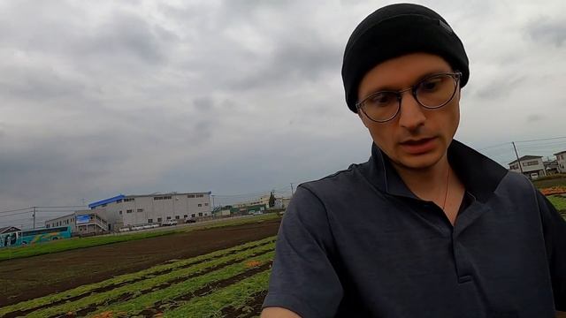 Её вырастили - Чтобы Выкинуть. В Японии странные требования при сборе урожая. смотреть онлайн