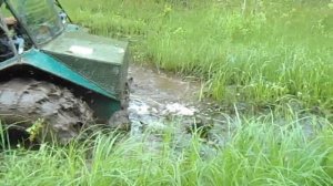 Каракат на Медведь болоте .