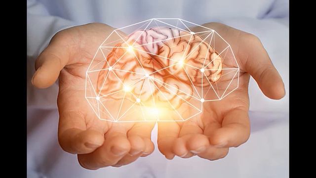 Пластичность мозга смотреть онлайн