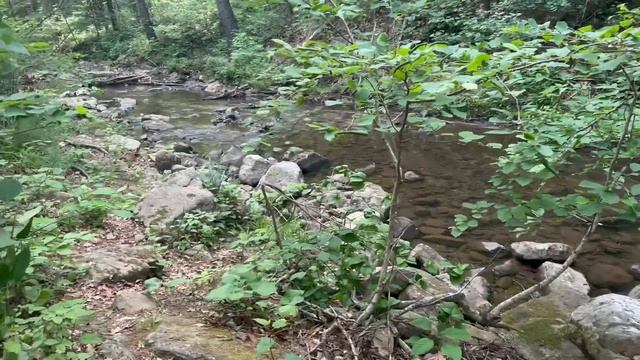 Overlanding George Washington National Forest 2023 (2nd Gen Sequoia and GX470) 4LO-VA смотреть онлайн