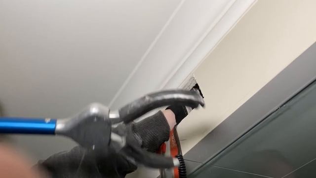Mission Impossible, Made Possible By Gates | Baby Raccoon Removal смотреть онлайн