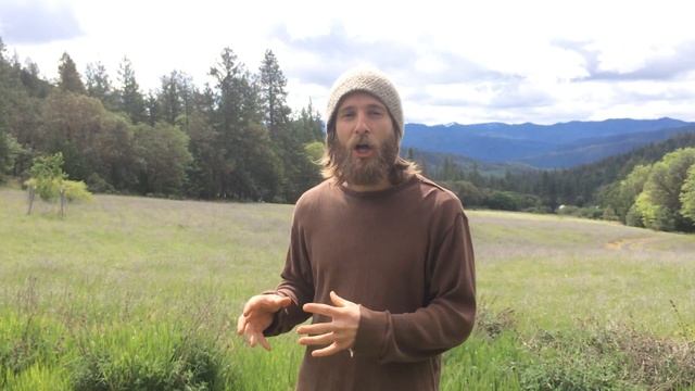 What Astrology can do for you as an Herbalist смотреть онлайн