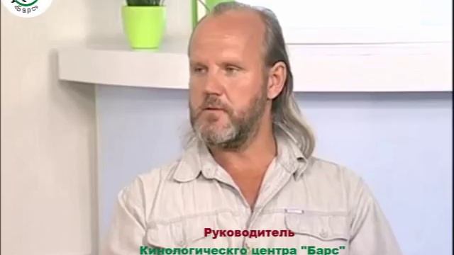 АГРЕССИЯ таксы. Причины. Дрессировка. Новосибирск.