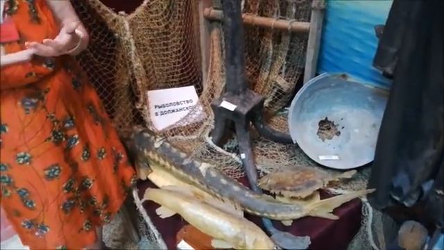 История Кубанского края, Станица Должанская, Ейский район, лекция, 17.06.2022 , часть 1 смотреть онлайн