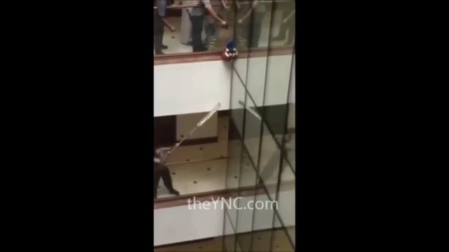 Cat falls off 9 stories high смотреть онлайн
