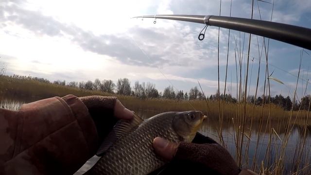 Разведка красивых мест, КРУПНЫЕ КАРАСИ не спрячутся, Боковой кивок, Ловля на боковой кивок, Карась смотреть онлайн