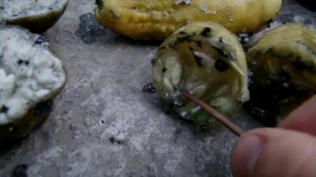 Тест (продолжение)