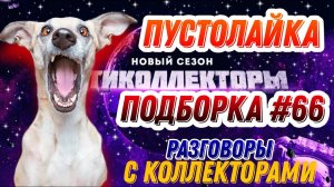 ПУСТОЛАЙКА  подборка #66 , Антиколлекторы России