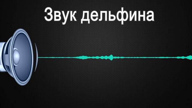 Звук дельфина - запикивание мата / Dolphin sound - Checkmate tapping смотреть онлайн