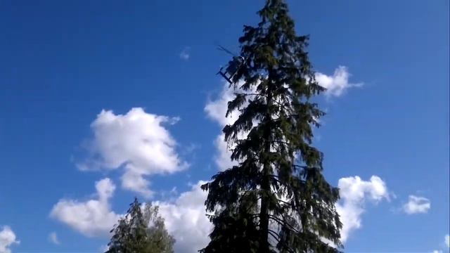 Агалатово. 100-летие ВВС. Открытие памятника.2012-08-18.mp4 смотреть онлайн