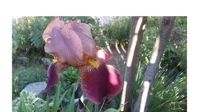 СадОгород 2