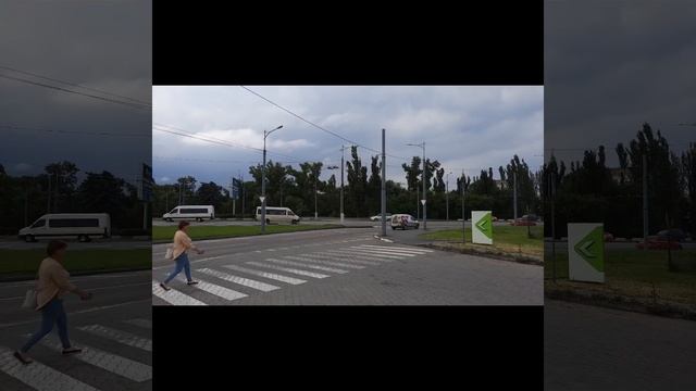 #База #найденных и #пропавших #домашних #животных. Нашли попугая, собачку или кота. Куда дать фото? смотреть онлайн