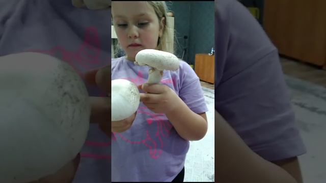 Первый урожай грибов, со своей грибницы #2023 #семья #дом #грибы #вкусно #зима ##казахстан #готовим