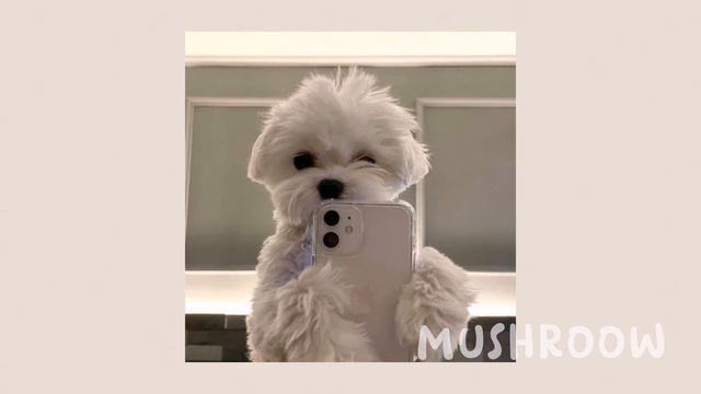 Милана Хаметова - мама, купи пёсика (speed up) смотреть онлайн