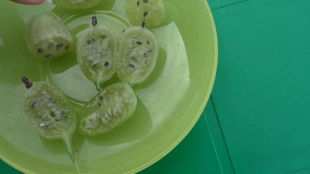 ИНВИКТА крыжовник. смотреть онлайн