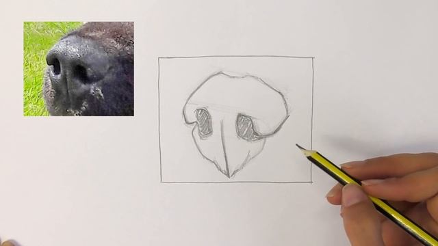 How To Draw a Dog's Nose смотреть онлайн