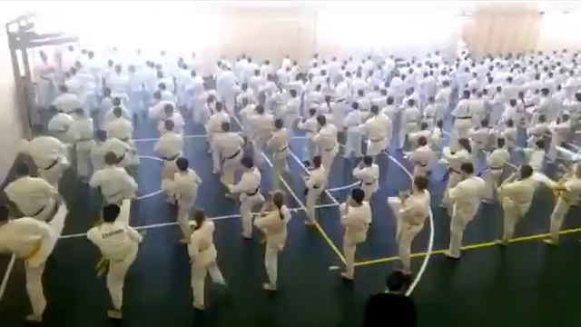 Мы сдаём на пояс по карате ч 1 смотреть онлайн