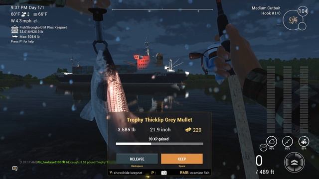 Fishing Planet #25 - S7 | Ghent-Terneuzen Canal: UNIQUE European Eel & Trophy Zander! смотреть онлайн