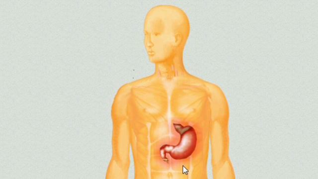 VedaPulse Digital Pulse Diagnosis Kit смотреть онлайн