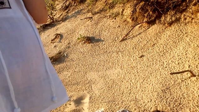 Нашли кости дельфина смотреть онлайн