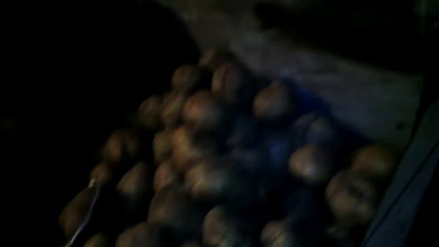 Обзор нашего погреба// Жизнь в деревне!!! смотреть онлайн