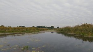 Трудовая рыбалка на спиннинг с лодки на реке Воронеж (Липецкая область)