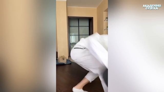 ПОПРОБУЙ НЕ ЗАСМЕЯТЬСЯ, 999% ПРОИГРАЮТ / 741 СЕКУНД СМЕХА | ПОДБОРКА ПРИКОЛОВ / СМЕШНЫЕ ВИДЕО 2023 смотреть онлайн