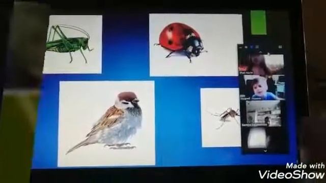 "Удивительный мир насекомых" Речевое развитие, гр "Светлячки" смотреть онлайн