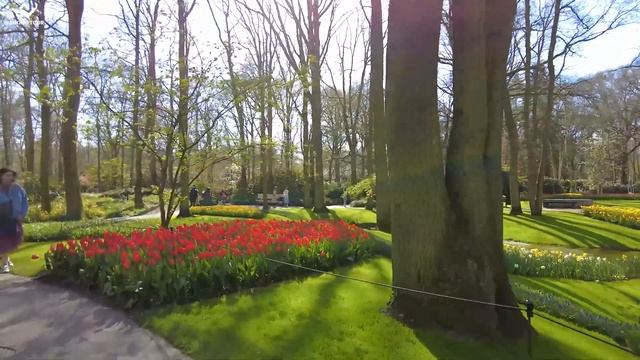 Keukenhof Gardens 2023 , Netherlands 4K Walking Tour With Piano Music