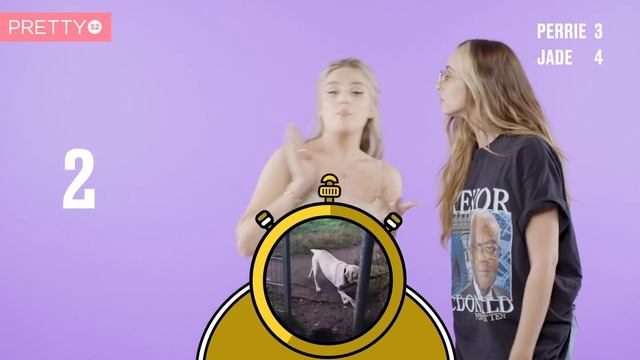 Animal Timers I Little Mix's Perrie and Jade are super competitive! смотреть онлайн