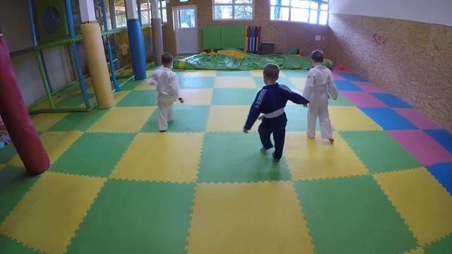 Summer judo camp in Austria / Летний спортивный лагерь в Австрии 2017 смотреть онлайн