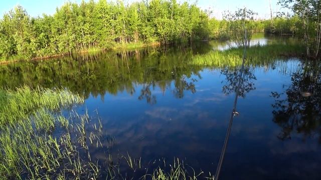 НЕ КЛЁВОЕ время... смотреть онлайн