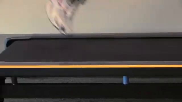 Беговая дорожка LiveStrong LS7 9T смотреть онлайн