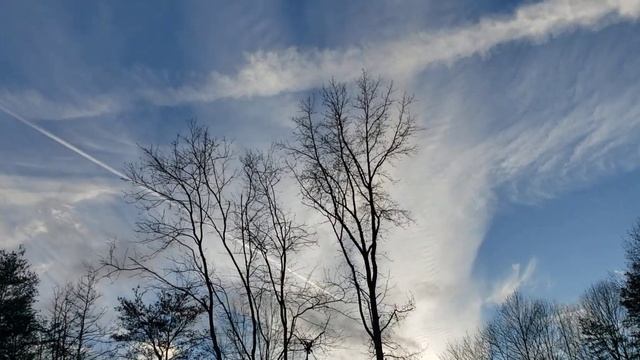 Ужас , что они выпускают в воздух..// Море птиц .США. смотреть онлайн