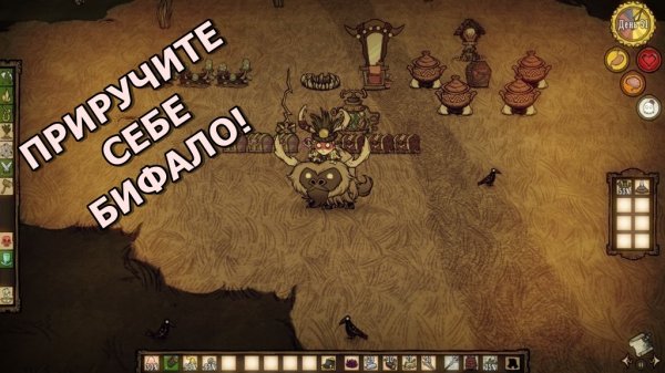 Как приручить бифало? Don't Starve Together