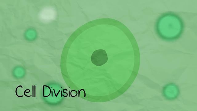 The 5 Kingdoms in Classification | Evolution | Biology | FuseSchool смотреть онлайн