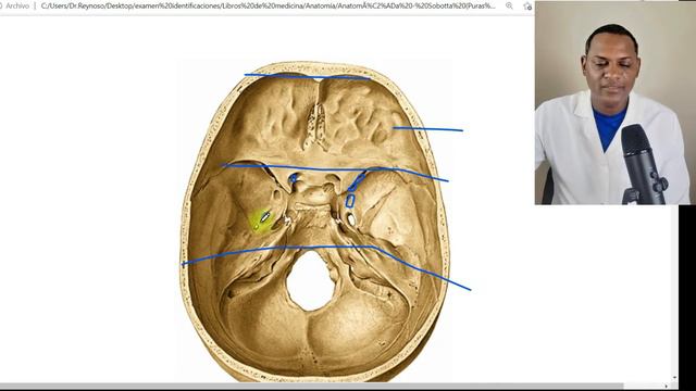 RECOMENDANDO LIBRO DE ANATOMÍA DE SOBOTTA смотреть онлайн