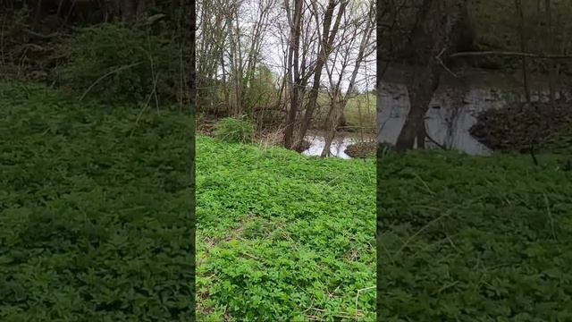 По заброшкам на вездеходе БРо смотреть онлайн