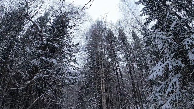 Национальный парк Таганай смотреть онлайн