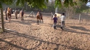 #0  Наша жизнь в Кении.  Пилотный выпуск о жизни в Африке